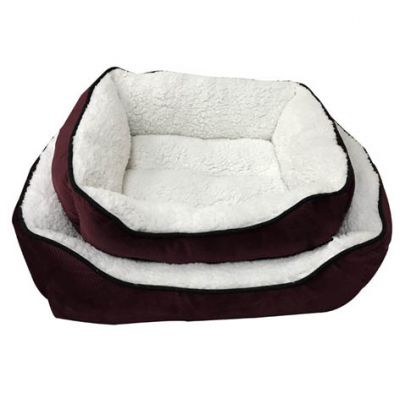 cat bed,cat litter,cat tree,dog bed,dog cage,dog collar,dog food,dog harness,dog leash,dog toy,pet accessories,pet bed,pet cage,pet carrier,pet food,pet house,pet products,pet supply,pet toy