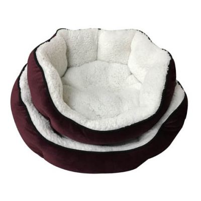 cat bed,cat litter,cat tree,dog bed,dog cage,dog collar,dog food,dog harness,dog leash,dog toy,pet accessories,pet bed,pet cage,pet carrier,pet food,pet house,pet products,pet supply,pet toy