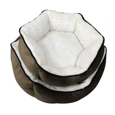 cat bed,cat litter,cat tree,dog bed,dog cage,dog collar,dog food,dog harness,dog leash,dog toy,pet accessories,pet bed,pet cage,pet carrier,pet food,pet house,pet products,pet supply,pet toy