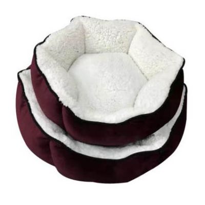 cat bed,cat litter,cat tree,dog bed,dog cage,dog collar,dog food,dog harness,dog leash,dog toy,pet accessories,pet bed,pet cage,pet carrier,pet food,pet house,pet products,pet supply,pet toy