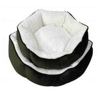 cat bed,cat litter,cat tree,dog bed,dog cage,dog collar,dog food,dog harness,dog leash,dog toy,pet accessories,pet bed,pet cage,pet carrier,pet food,pet house,pet products,pet supply,pet toy