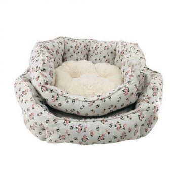 cat bed,cat litter,cat tree,dog bed,dog cage,dog collar,dog food,dog harness,dog leash,dog toy,pet accessories,pet bed,pet cage,pet carrier,pet food,pet house,pet products,pet supply,pet toy